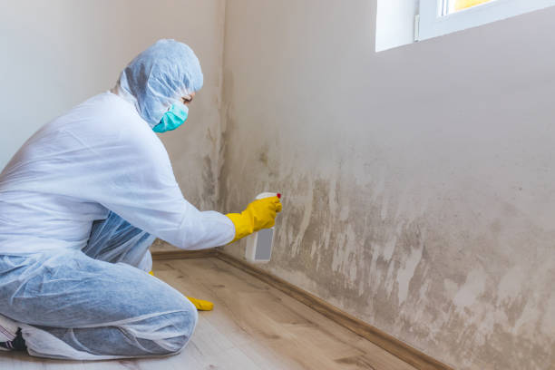 Licensed Mold Testing service in North Brunswick, NJ - WQB Mold Removal