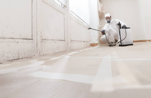 24/7 Emergency Mold Testing experts in North Brunswick, NJ