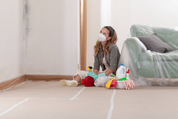 Reliable Mold Testing contractor in North Brunswick, NJ by WQB Mold Removal